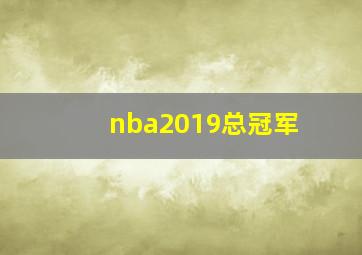 nba2019总冠军