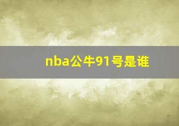 nba公牛91号是谁