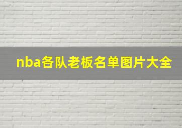 nba各队老板名单图片大全