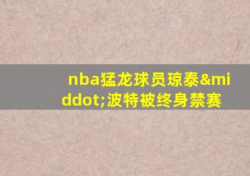 nba猛龙球员琼泰·波特被终身禁赛