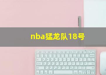 nba猛龙队18号