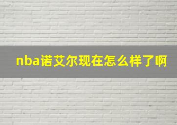 nba诺艾尔现在怎么样了啊