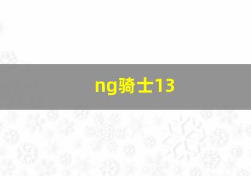 ng骑士13