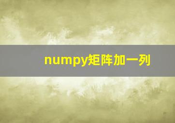 numpy矩阵加一列