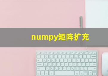 numpy矩阵扩充