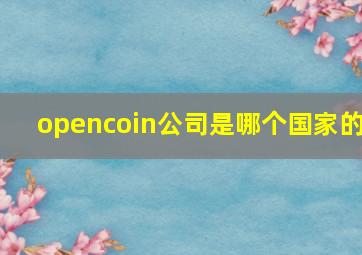 opencoin公司是哪个国家的