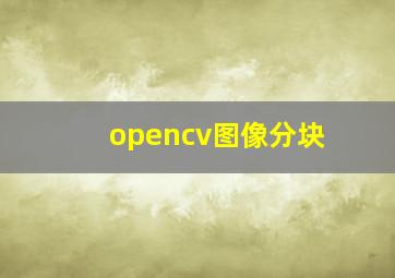 opencv图像分块