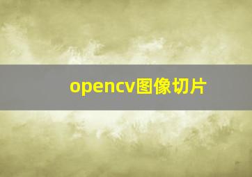 opencv图像切片