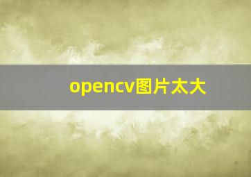 opencv图片太大