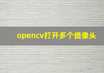 opencv打开多个摄像头