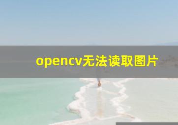 opencv无法读取图片