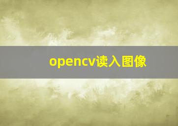 opencv读入图像