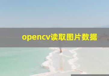 opencv读取图片数据