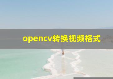 opencv转换视频格式