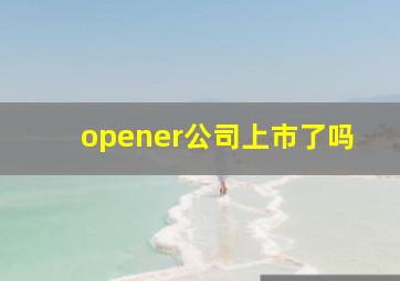 opener公司上市了吗