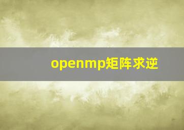 openmp矩阵求逆