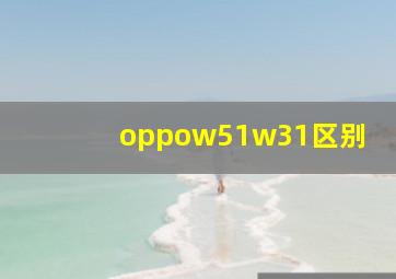 oppow51w31区别