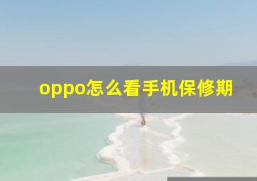 oppo怎么看手机保修期