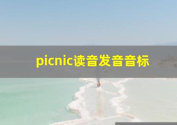 picnic读音发音音标