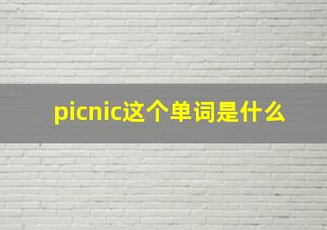 picnic这个单词是什么