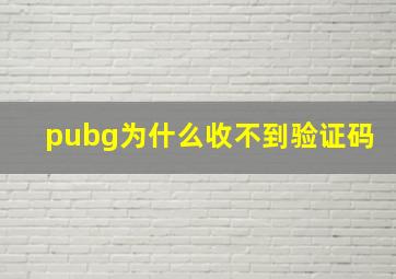 pubg为什么收不到验证码