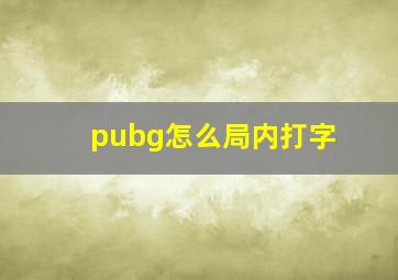 pubg怎么局内打字