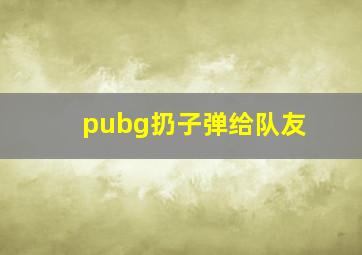 pubg扔子弹给队友