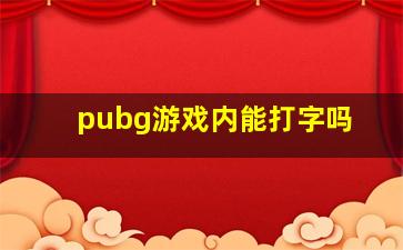 pubg游戏内能打字吗