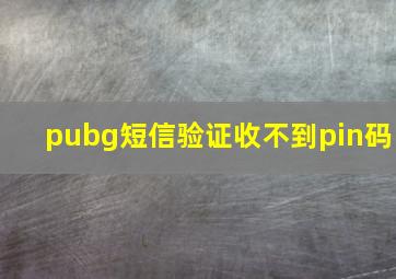 pubg短信验证收不到pin码