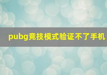 pubg竞技模式验证不了手机