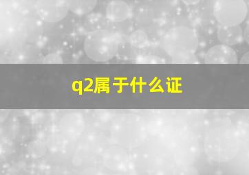 q2属于什么证