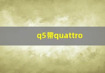 q5带quattro