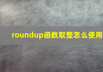 roundup函数取整怎么使用