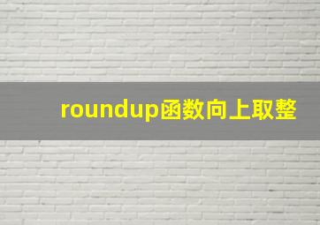 roundup函数向上取整