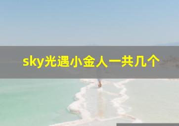 sky光遇小金人一共几个