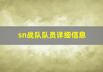 sn战队队员详细信息