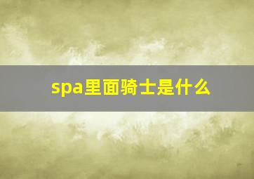 spa里面骑士是什么