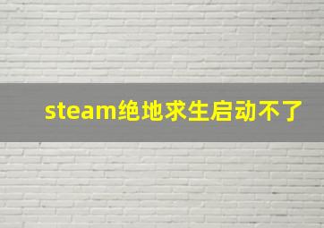 steam绝地求生启动不了