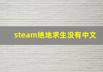 steam绝地求生没有中文