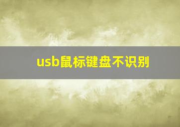 usb鼠标键盘不识别