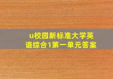 u校园新标准大学英语综合1第一单元答案