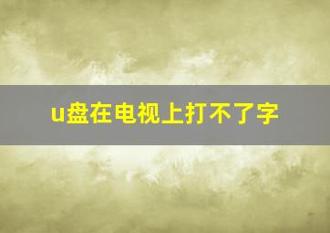 u盘在电视上打不了字