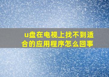 u盘在电视上找不到适合的应用程序怎么回事