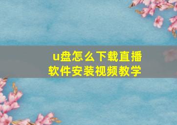 u盘怎么下载直播软件安装视频教学