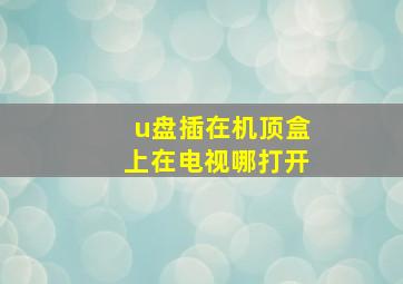 u盘插在机顶盒上在电视哪打开