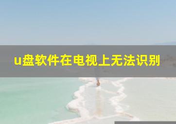 u盘软件在电视上无法识别