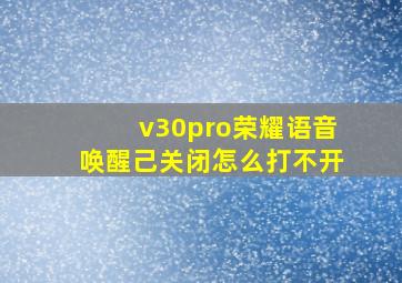 v30pro荣耀语音唤醒己关闭怎么打不开