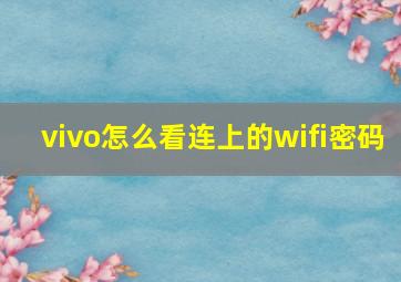 vivo怎么看连上的wifi密码