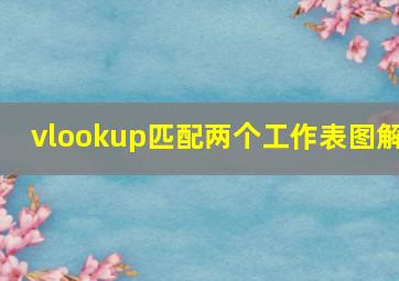 vlookup匹配两个工作表图解