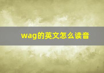 wag的英文怎么读音